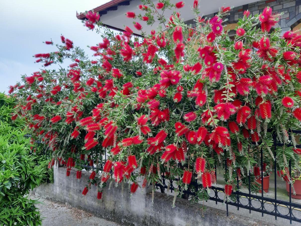 Captain'S Beauty & Wellness House ストラトニオン エクステリア 写真